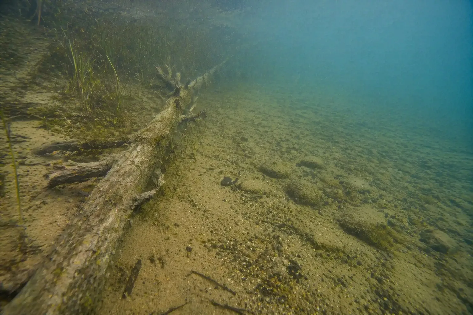 Real underwater freshwater structure with submerged wood, grass, rock and bottom transition
